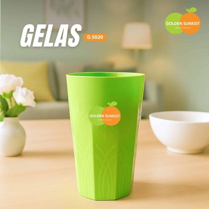 G 5020 - Gelas